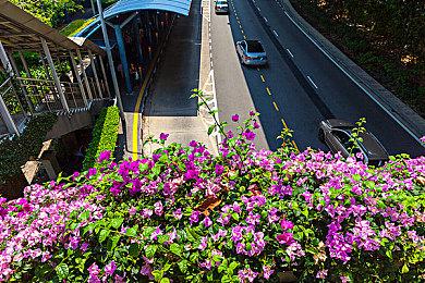 微软：Xbox One所有机型在2020年就已停产